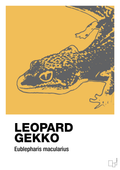 plakat: leopard gekko - honeycomb-Dyr-A1two3