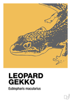 plakat: leopard gekko - honeycomb-Dyr-A1two3