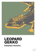 plakat: leopard gekko - jade-Dyr-A1two3