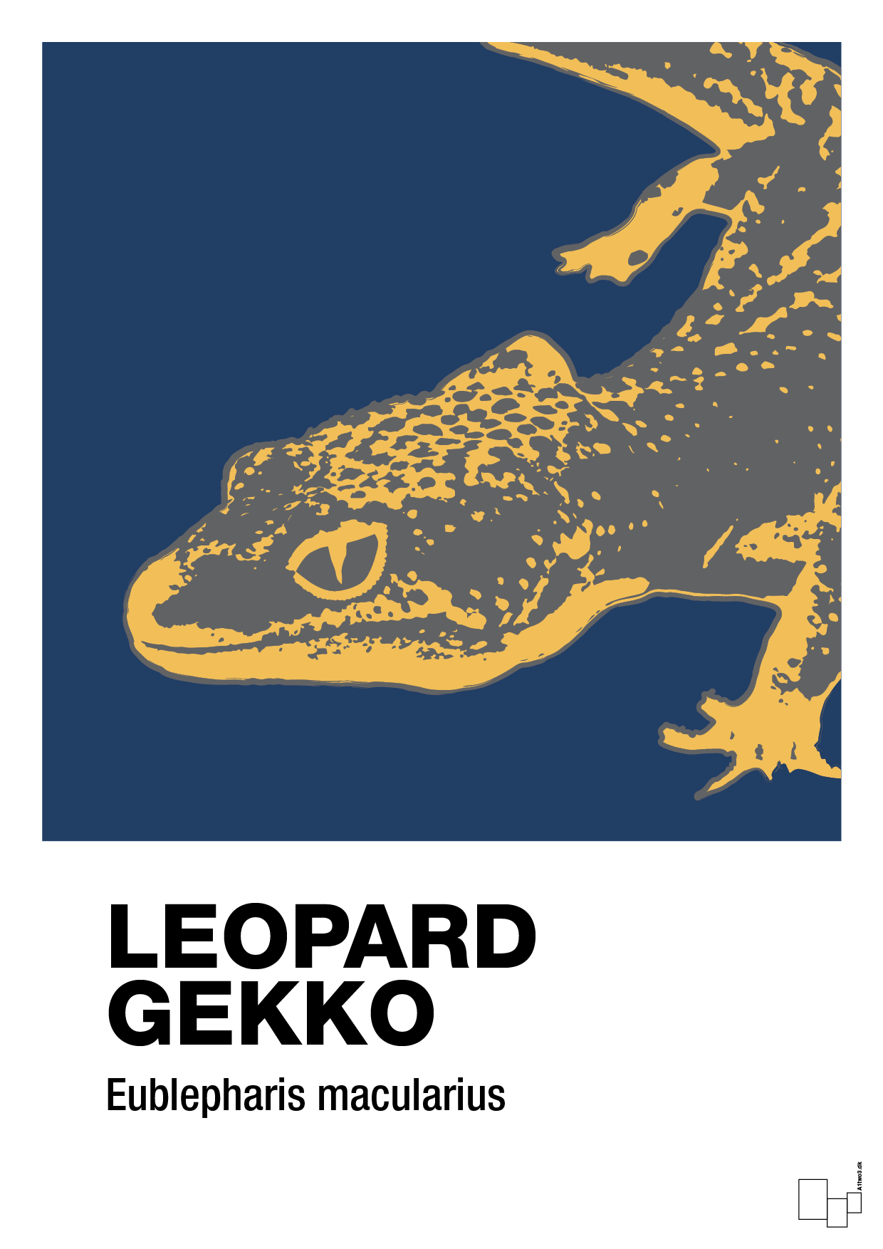 plakat: leopard gekko - lapis blue-Dyr-A1two3