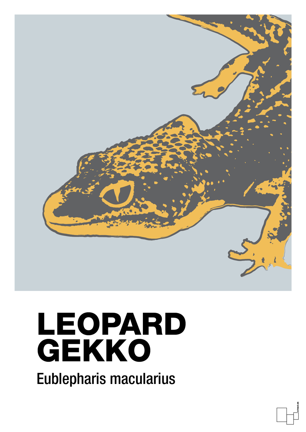plakat: leopard gekko - light drizzle-Dyr-A1two3