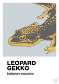 plakat: leopard gekko - light drizzle-Dyr-A1two3