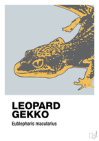 plakat: leopard gekko - light drizzle-Dyr-A1two3