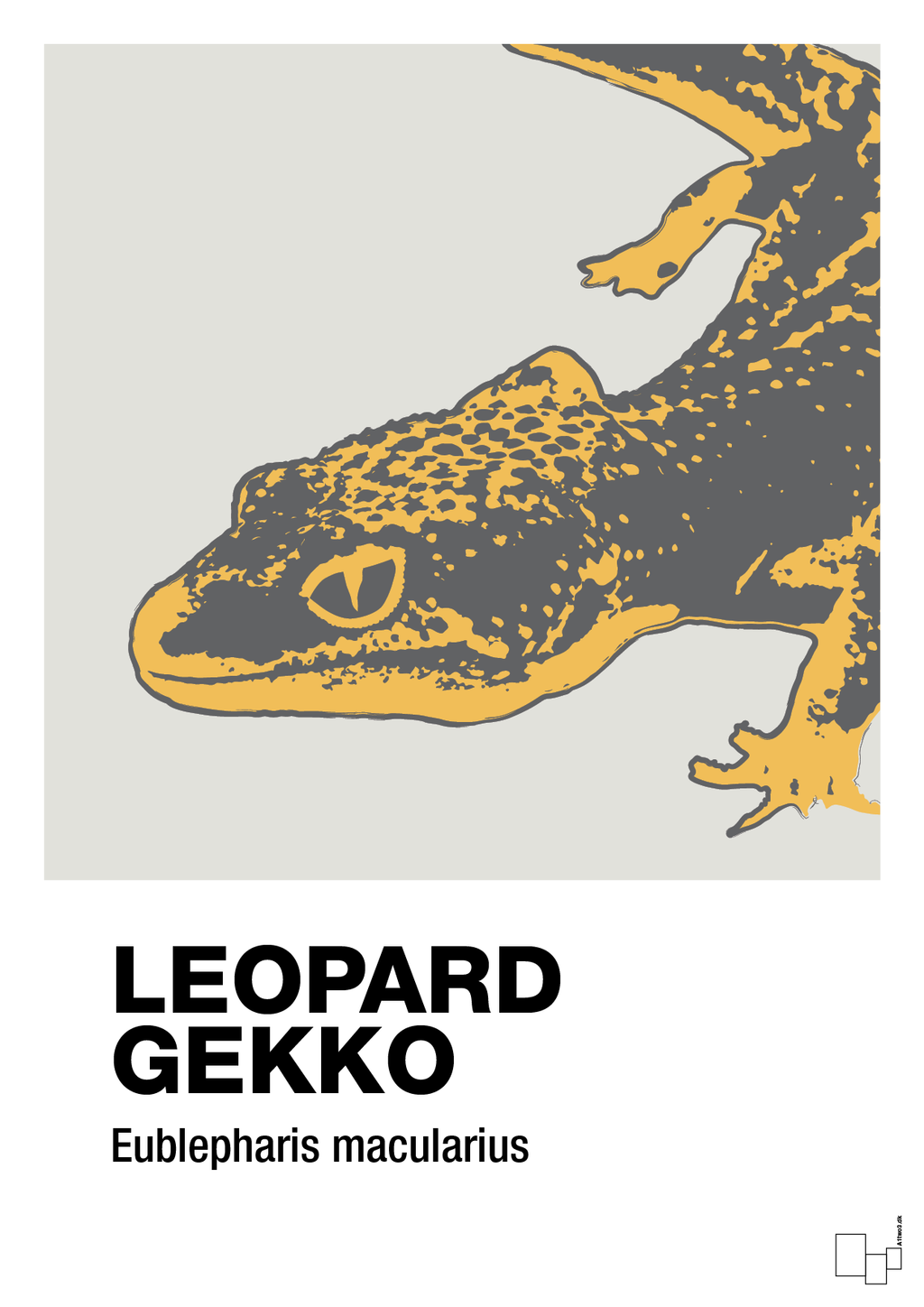 plakat: leopard gekko - painters white-Dyr-A1two3