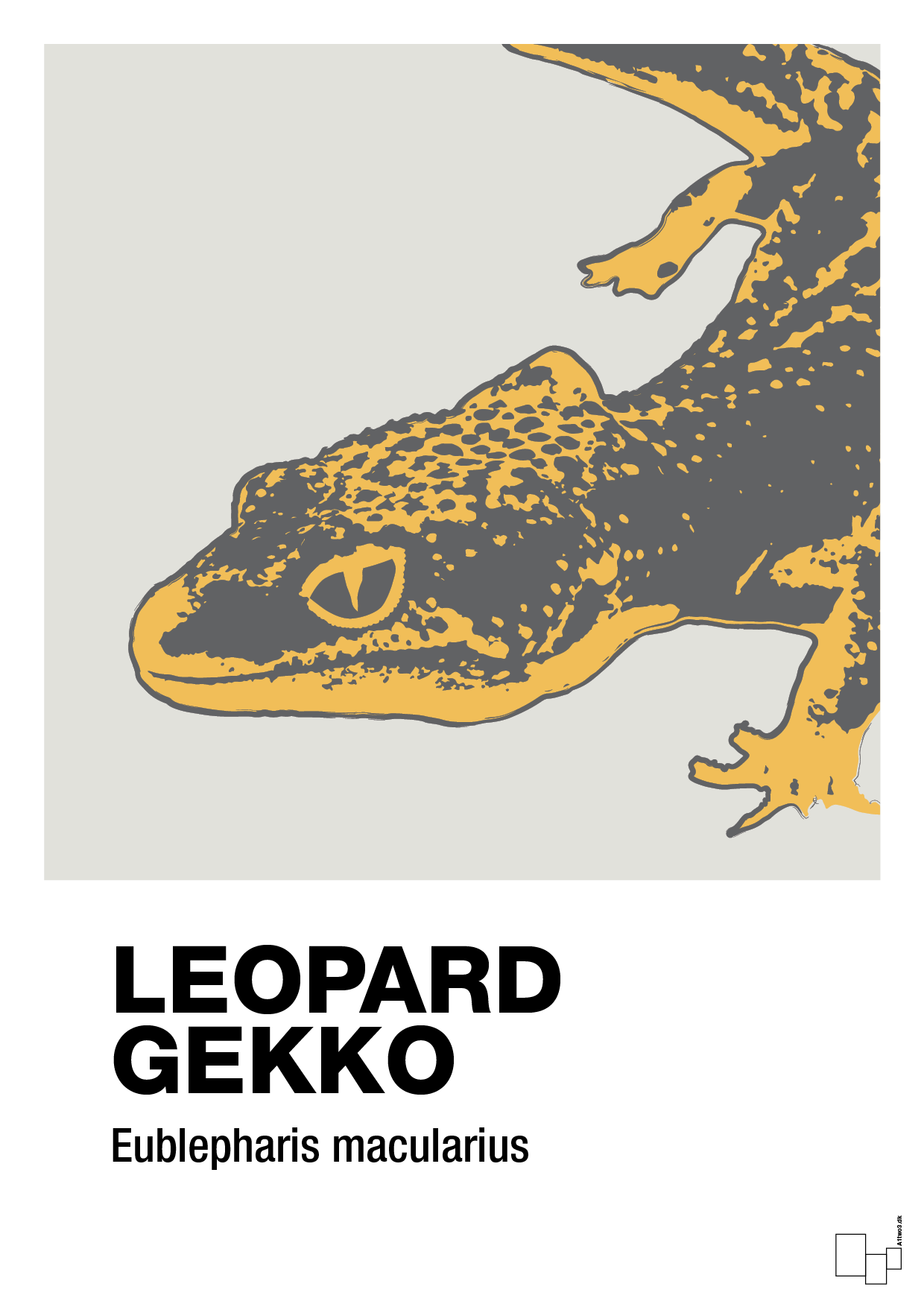 plakat: leopard gekko - painters white-Dyr-A1two3