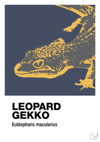 plakat: leopard gekko