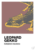 plakat: leopard gekko - plum-Dyr-A1two3