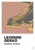 plakat: leopard gekko - powder-Dyr-A1two3