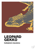 plakat: leopard gekko - red pepper-Dyr-A1two3