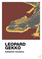 plakat: leopard gekko - red pepper-Dyr-A1two3