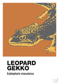plakat: leopard gekko - rumba orange-Dyr-A1two3