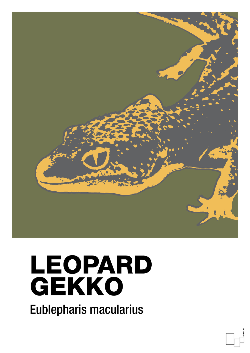 plakat: leopard gekko - secret meadow-Dyr-A1two3