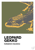 plakat: leopard gekko - secret meadow-Dyr-A1two3