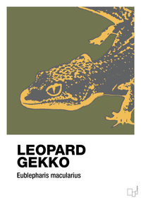 plakat: leopard gekko