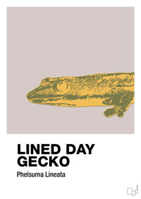 plakat: lined day gecko