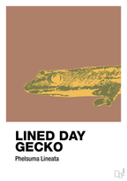 plakat: lined day gecko - cider spice-Dyr-A1two3