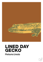 plakat: lined day gecko - cognac-Dyr-A1two3