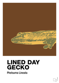 plakat: lined day gecko