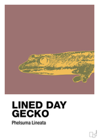 plakat: lined day gecko - plum-Dyr-A1two3