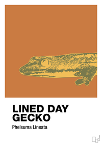 plakat: lined day gecko