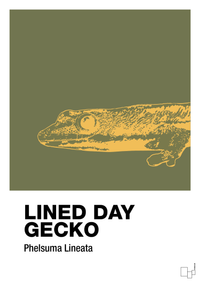 plakat: lined day gecko