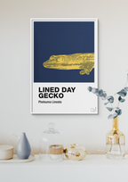 Lined day gecko - petrol-Dyr-A1two3