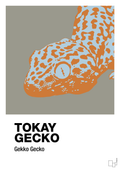 plakat: tokay gecko - battleship gray-Dyr-A1two3