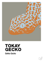 plakat: tokay gecko - battleship gray-Dyr-A1two3