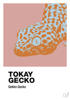 plakat: tokay gecko - bubble shell-Dyr-A1two3