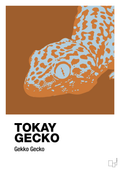 plakat: tokay gecko - cognac-Dyr-A1two3