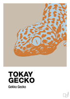 plakat: tokay gecko - creamy mushroom-Dyr-A1two3