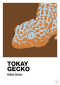 plakat: tokay gecko - dark brown-Dyr-A1two3