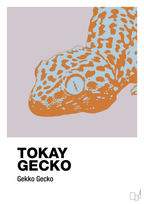 plakat: tokay gecko - dusty lilac-Dyr-A1two3