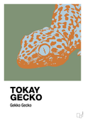 plakat: tokay gecko - jade-Dyr-A1two3