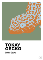 plakat: tokay gecko - jade-Dyr-A1two3
