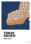 plakat: tokay gecko - lapis blue-Dyr-A1two3