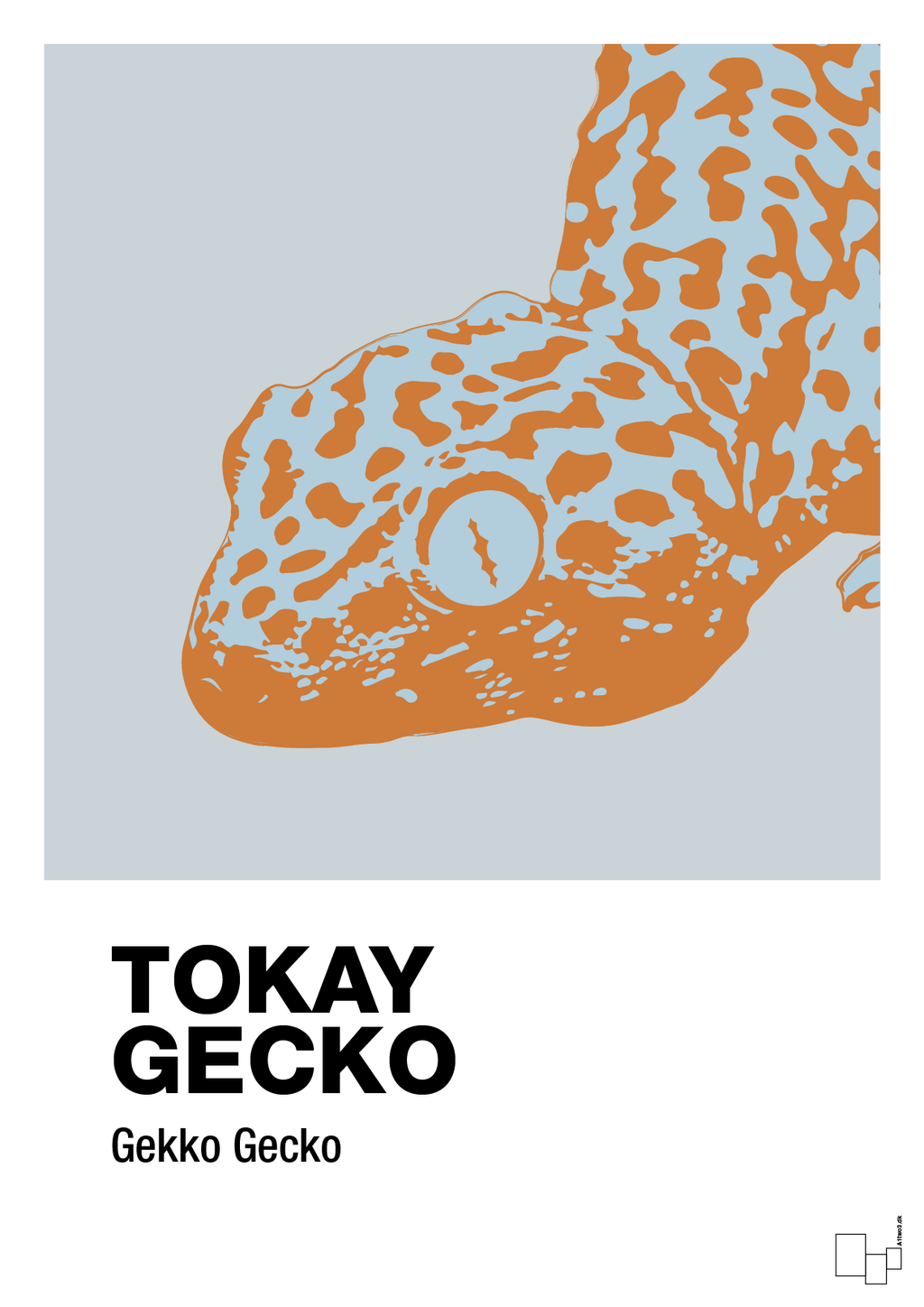 plakat: tokay gecko - light drizzle-Dyr-A1two3
