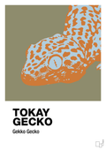 plakat: tokay gecko - misty forrest-Dyr-A1two3
