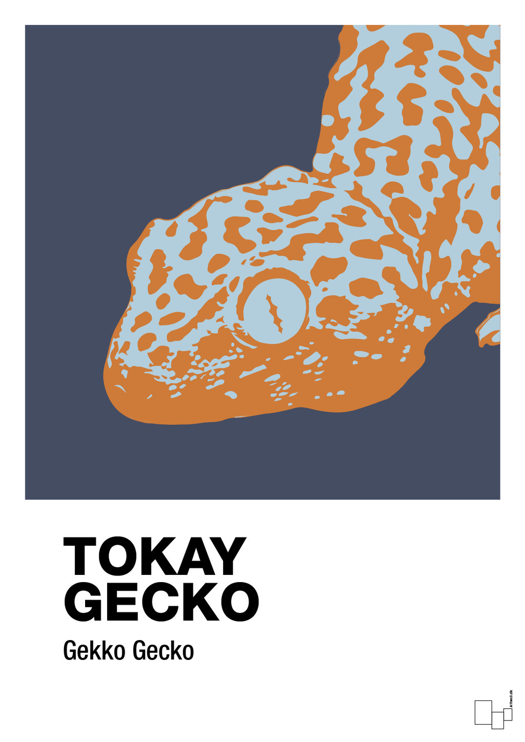 Tokay gecko - petrol-Dyr-A1two3