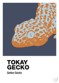 Tokay gecko - petrol-Dyr-A1two3