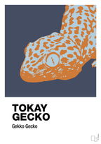 Tokay gecko - petrol-Dyr-A1two3