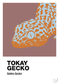 plakat: tokay gecko - plum-Dyr-A1two3