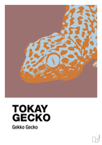 plakat: tokay gecko - plum-Dyr-A1two3