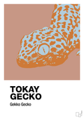 plakat: tokay gecko - powder-Dyr-A1two3