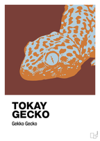 plakat: tokay gecko - red pepper-Dyr-A1two3