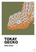 plakat: tokay gecko - secret meadow-Dyr-A1two3