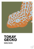 plakat: tokay gecko - secret meadow-Dyr-A1two3