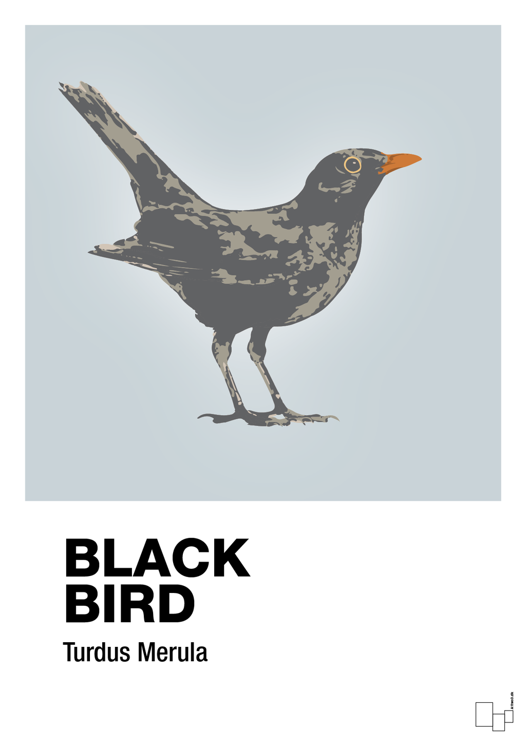 plakat: black bird - light drizzle-Dyr-A1two3