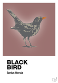 plakat: black bird - plum-Dyr-A1two3
