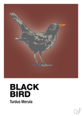 plakat: black bird - red pepper-Dyr-A1two3